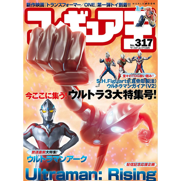 [�Ϻ�����] �ǱԾ�� No.317 [9���԰��Ϸ�] [9784846533250]