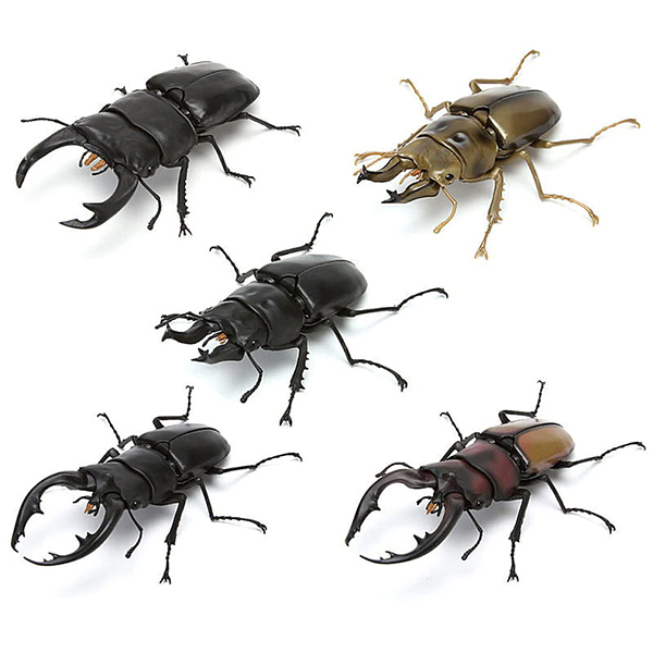 [�����߼�] ���� �뵵�� �罿���� 3ź(1�� �����߼�) [4���԰��Ϸ�] [4549660753858]