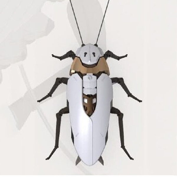 �������� �����(ȭ��Ʈ) [2���԰��Ϸ�]