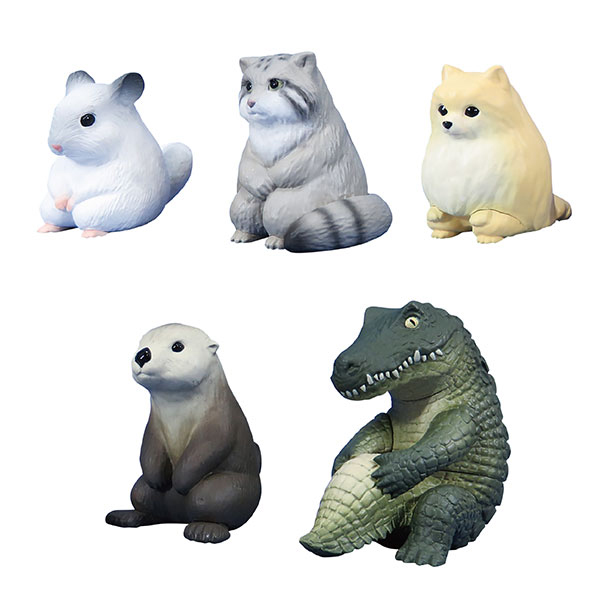 ��ٸ��� ��ħ 3ź(1�ڽ�15����) [9���԰��Ϸ�] [4549660516019]