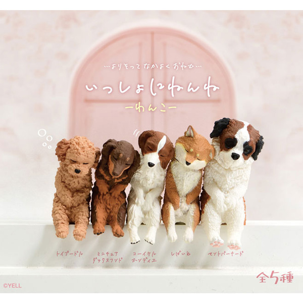 �Բ� �������� ������(1�ڽ�10����) [12���԰��Ϸ�] [4570198783888]