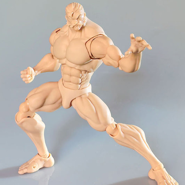 1/12  ������ ���� ��ü KT01B ��� ��Ų [3���԰��Ϸ�] [4589565821313]