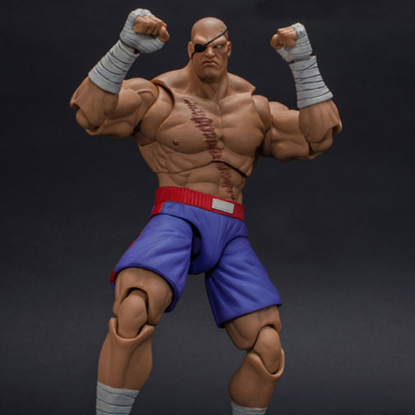 ��Ʈ�� ��Ʈ��Ʈ ������II �� ���̳� ç������ - �簡Ʈ [8���԰��Ϸ�] [4589484107147]