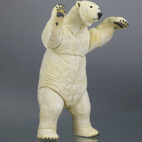 ������ �ڽ� 009 �ϱذ� [5���԰��Ϸ�] [4537807003119]