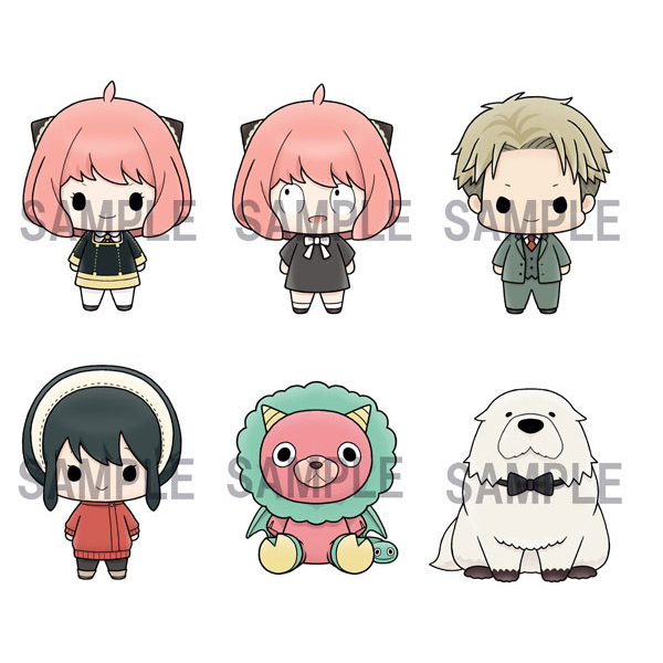 ���ڸ� ������Ʈ ������x�йи�(1�ڽ�6����) [12���԰��Ϸ�][4535123833656]