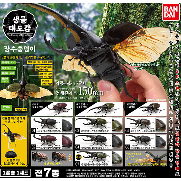 [�����߼�] ���� �뵵�� ���ǳ���� [9���԰��Ϸ�][4549660589273]