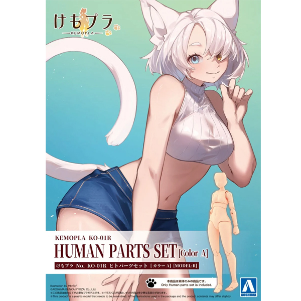 [�ɸ�����] �ΰ� ��ǰ ��Ʈ �÷�A [3���԰��Ϸ�] [4905083200193]