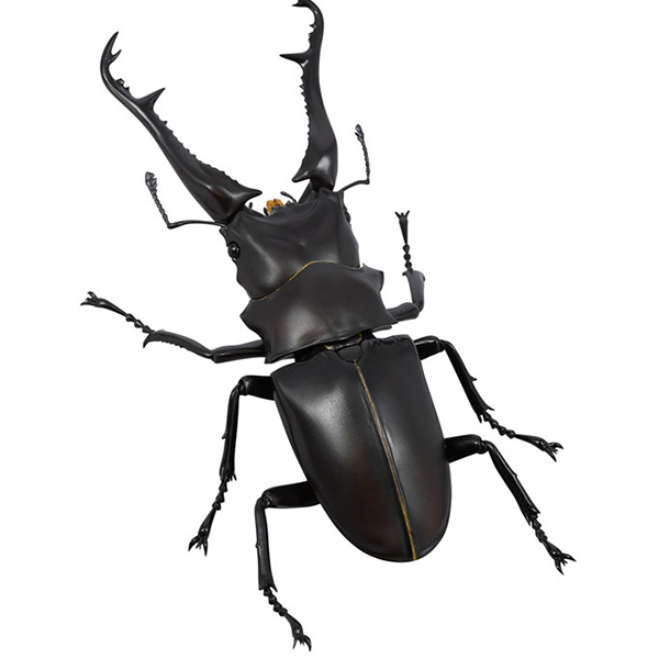 REVO GEO �������罿���� [1���԰��Ϸ�] [4537807170071]