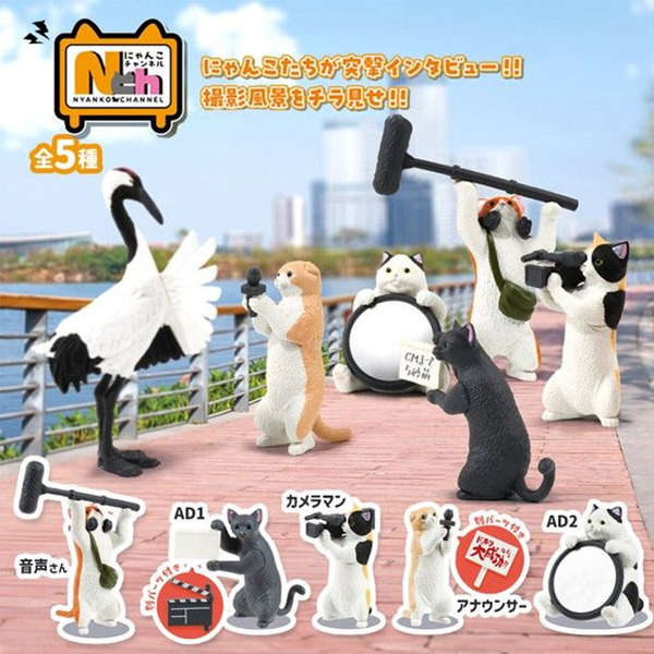 ����ä��(1�ڽ�10����) [12���԰��Ϸ�] [4570198775661]