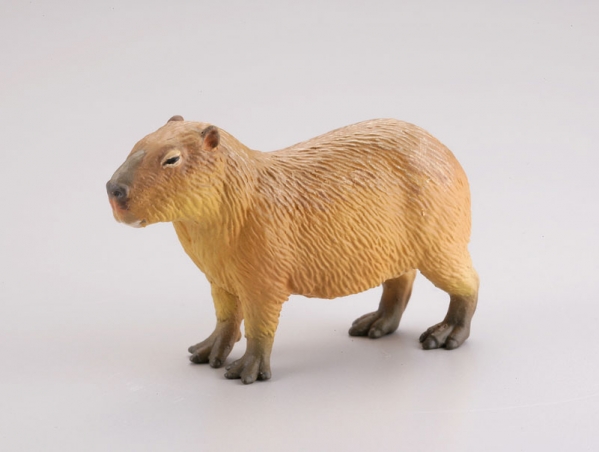 [����] ���ϵ巯�� �� ���� ���� ����II �� 2�� ���Ƹ޸�ī �Ƹ��� ��- ī�ǹٶ� [6���԰��Ϸ�] [4537807082336]