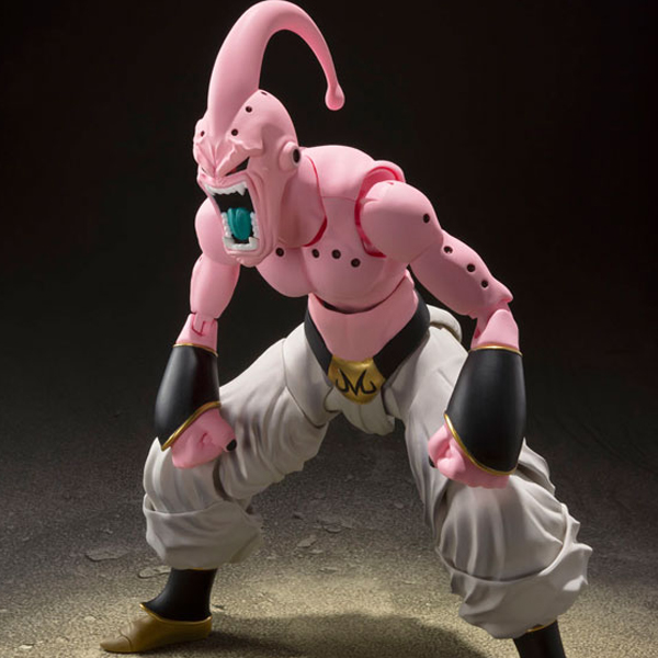 [����] [S.H.Figuarts] �巡�ﺼZ - ���� �ο�(��) [4573102721785]