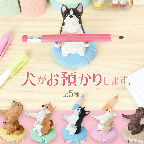 ���� �þ� �帳�ϴ�(1�ڽ�10����) [2���԰��Ϸ�] [4589469849116]