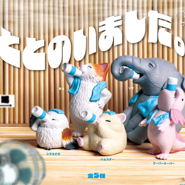 �غ�Ǿ����(1�ڽ�10����) [8���԰��Ϸ�] [4570198783338]