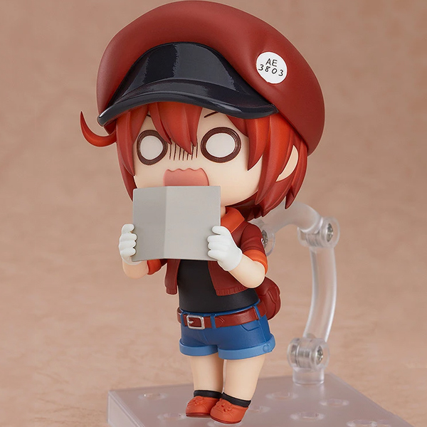 [�ٵ����̵�1214] ���ϴ� ���� - ������ [5���԰��Ϸ�] [4580416909273]