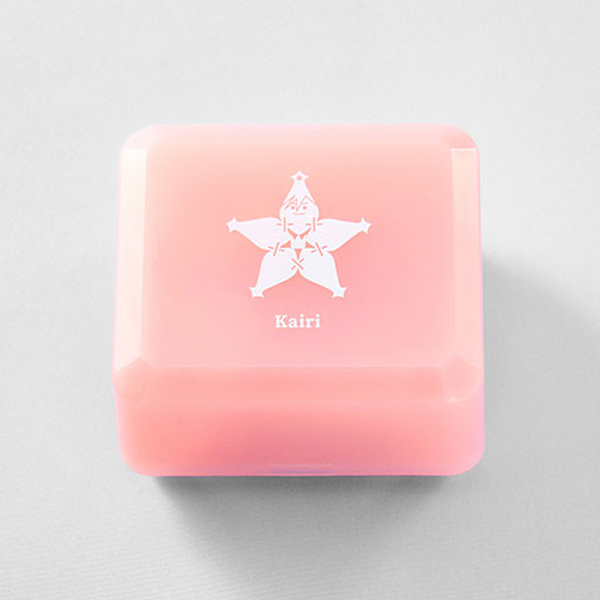 ŷ������ ������ ī�̸� [5���԰��Ϸ�] [4988601373852]