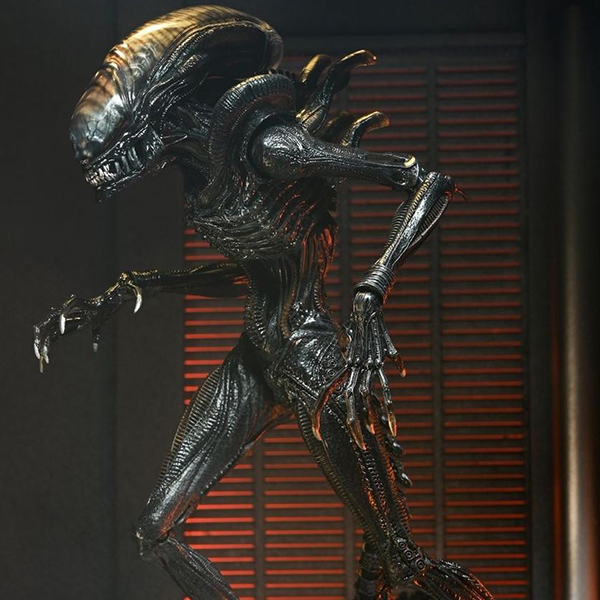 ���ϸ��� �ι��罺 - ����ġ�� ������� [3���԰��Ϸ�] [4580714145410]