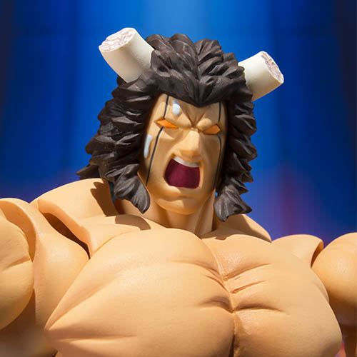 [S.H.Figuarts] ������ - ���ȷθ� [10���԰��Ϸ�] [4549660018599]