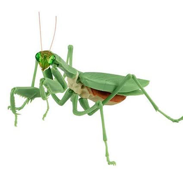 ĸ������ �縶��(���) [1���԰��Ϸ�] [4549660473572]