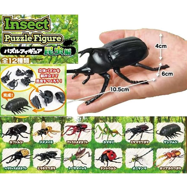 ���� �ǱԾ� ������(1�ڽ�12����) [12���԰��Ϸ�] [4589469834310]