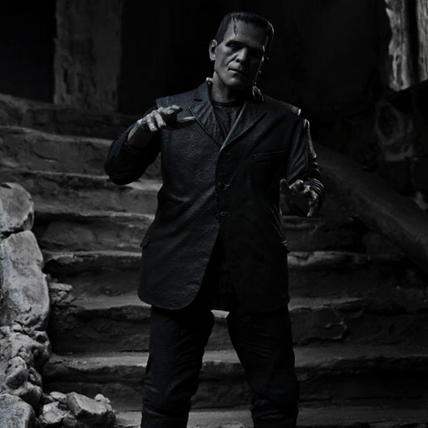 �����˽�Ÿ�� ���� ��Ƽ�� 7��ġ �׼� �ǱԾ� [9���԰��Ϸ�] [4580017819704]