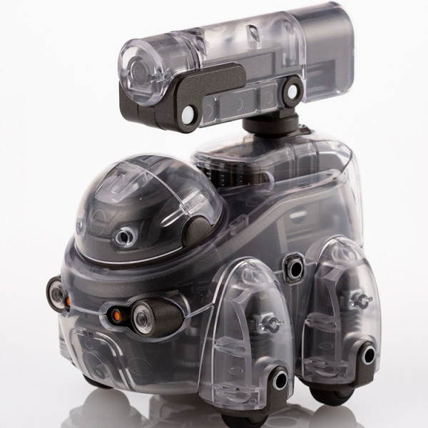 1/12 ���������� - Ÿ���� ���̷��� [11���԰��Ϸ�] [4934054035540]