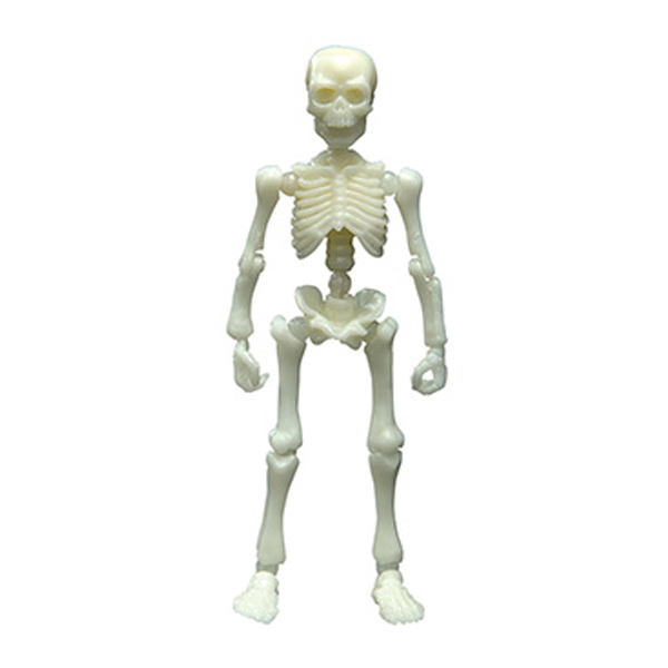 ����̷��� ū��� �÷� �ø���(����) [9���԰��Ϸ�] [4521121301563]