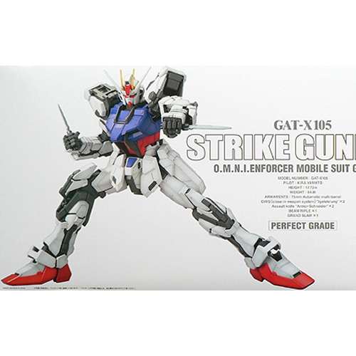 [PG] 1/60 ��Ʈ����ũ �Ǵ� [11���԰��Ϸ�] [4573102630544]