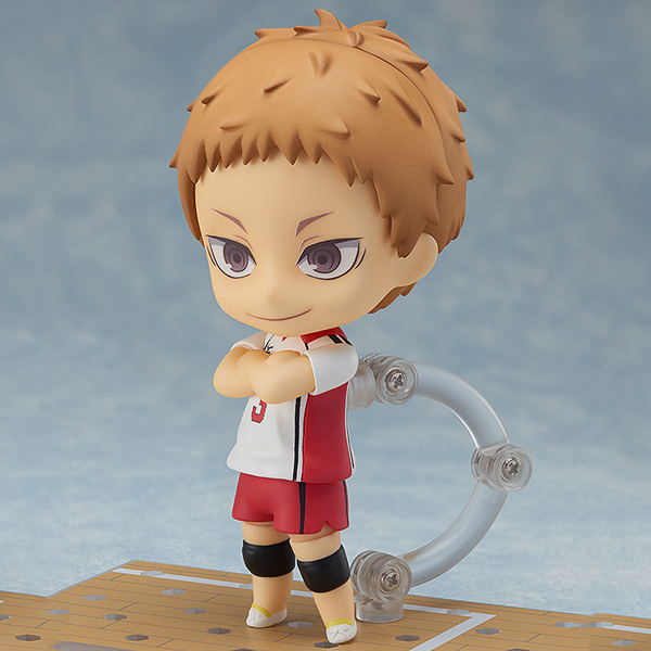 [�ٵ����̵�807] ����ť!! - ���� �𸮽��� [4580590192492]