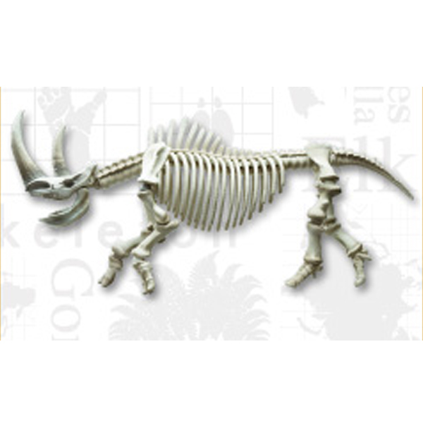 ����̷��� 302 �ڻԼ� [12���԰��Ϸ�] [4521121301129]