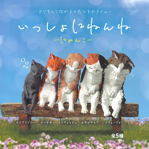 �Բ� �������� ����(1�ڽ�10����) [6���԰��Ϸ�] [4570198782300]