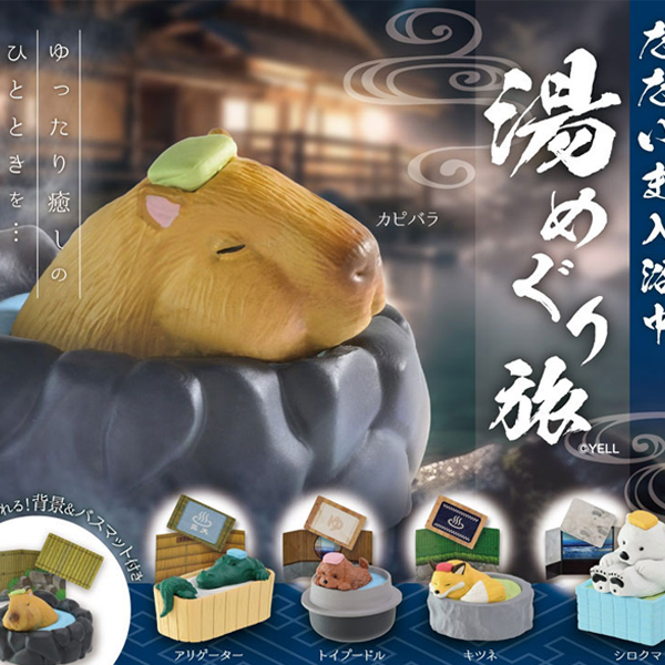 ���� �Կ����Դϴ� ����ȸ����(1�ڽ�10����) [7���԰��Ϸ�] [4570198782843]