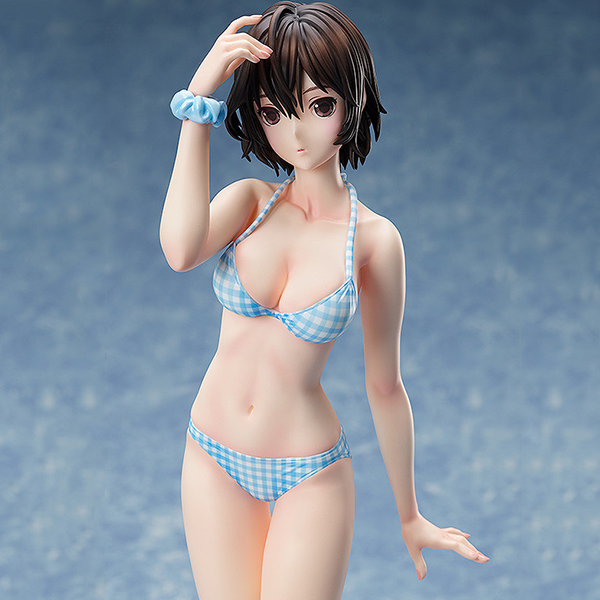 1/4 �����÷��� - Ÿī�� ����ī ������Ver. [4570001510144]