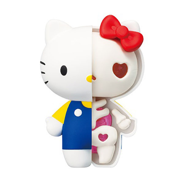 KAITAI FANTASY ���ŰƼ(���󷣴�) [6���԰��Ϸ�] [4975430514501]