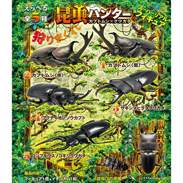 ��������(1�ڽ�10����) [7���԰��Ϸ�] [4582138603484]