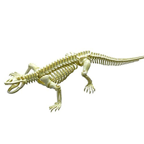 [����̷���] ����� �缭�� No.203 �ڸ� �巡�� [11���԰��Ϸ�] [4521121300962]