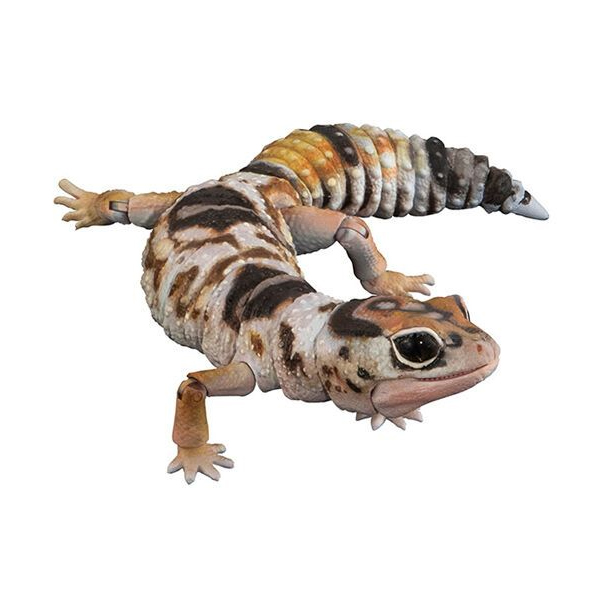 ���� �뵵�� ��庥�� ����Ƽ�� ����� �Ͻþ�����ī��ī�Ը�Ű(ȭ��Ʈ�ƿ�)(ȭ��Ʈ�ƿ�) [4���԰��Ϸ�] [4570118196033]