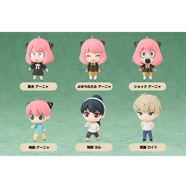 Ʈ���̵� �ǱԾ� ������X�йи�(1�ڽ�6����) [4580590189324]