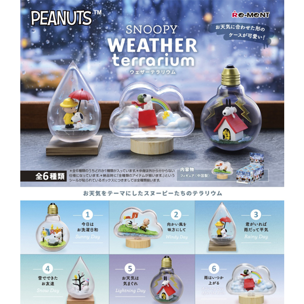 [����] ������ ���� �׶󸮿�(1�ڽ�6����) [4521121701998]