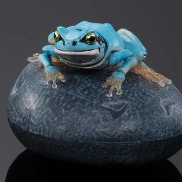 [����ǰ] [�̰���] ���� �뵵�� û������(û��) [9���԰��Ϸ�] [4549660971290]