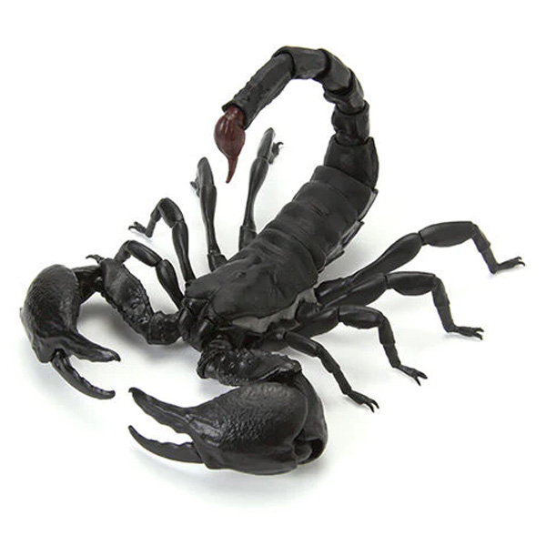 ���� �뵵�� ����(1�� �����߼�) [3���԰��Ϸ�] [4549660721055]