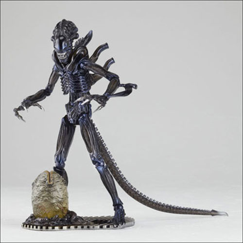 (Ư���Կ�������) NO.016 ����� ������