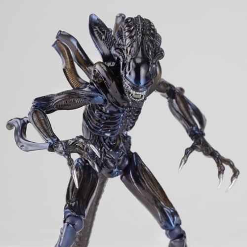 [Ư���Կ� ������] No.016 ���ϸ��� ������ [11���԰��Ϸ�] [4537807040152]