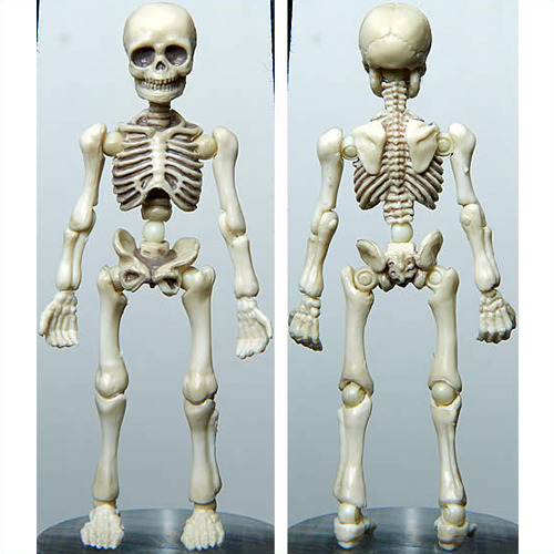 ���� ���̷��� �ΰ� [5���԰��Ϸ�] [4521121300320]