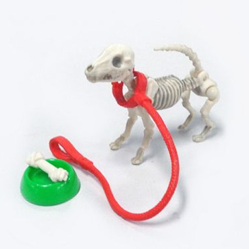 ����̷��� - �� [5���԰��Ϸ�] [4521121300344]