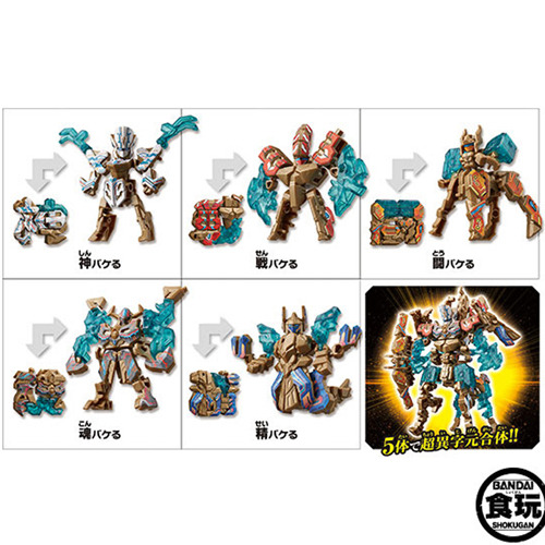 ���ڿ���ü �������ɷ�ZIII(20����) [2���԰��Ϸ�] [4543112912718]