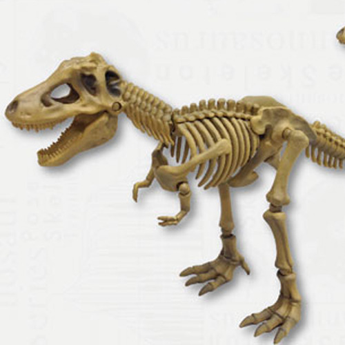 ����̷��� ���� �ø��� 101 Ƽ��� ���罺 [8���԰��Ϸ�] [4521121300788]