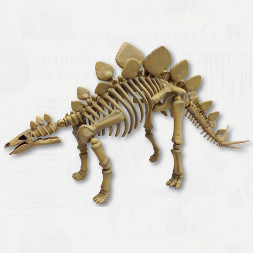 ����̷��� ����ø��� 103 ���װ����罺 [8���԰��Ϸ�] [4521121300825]