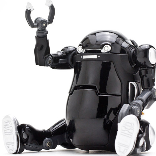 35 ��īƮ�� ���� ���� [12���԰��Ϸ�] [4571335888329]