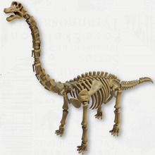 포즈스켈레톤 공룡시리즈 104  브라키오사우루스 [8월입고완료] [4521121300849]