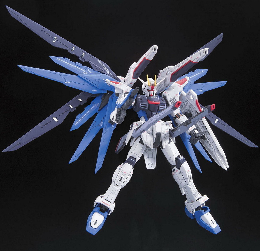 [RG 05] 1/144 ������ �Ǵ� [8���԰��Ϸ�] [4573102616142]